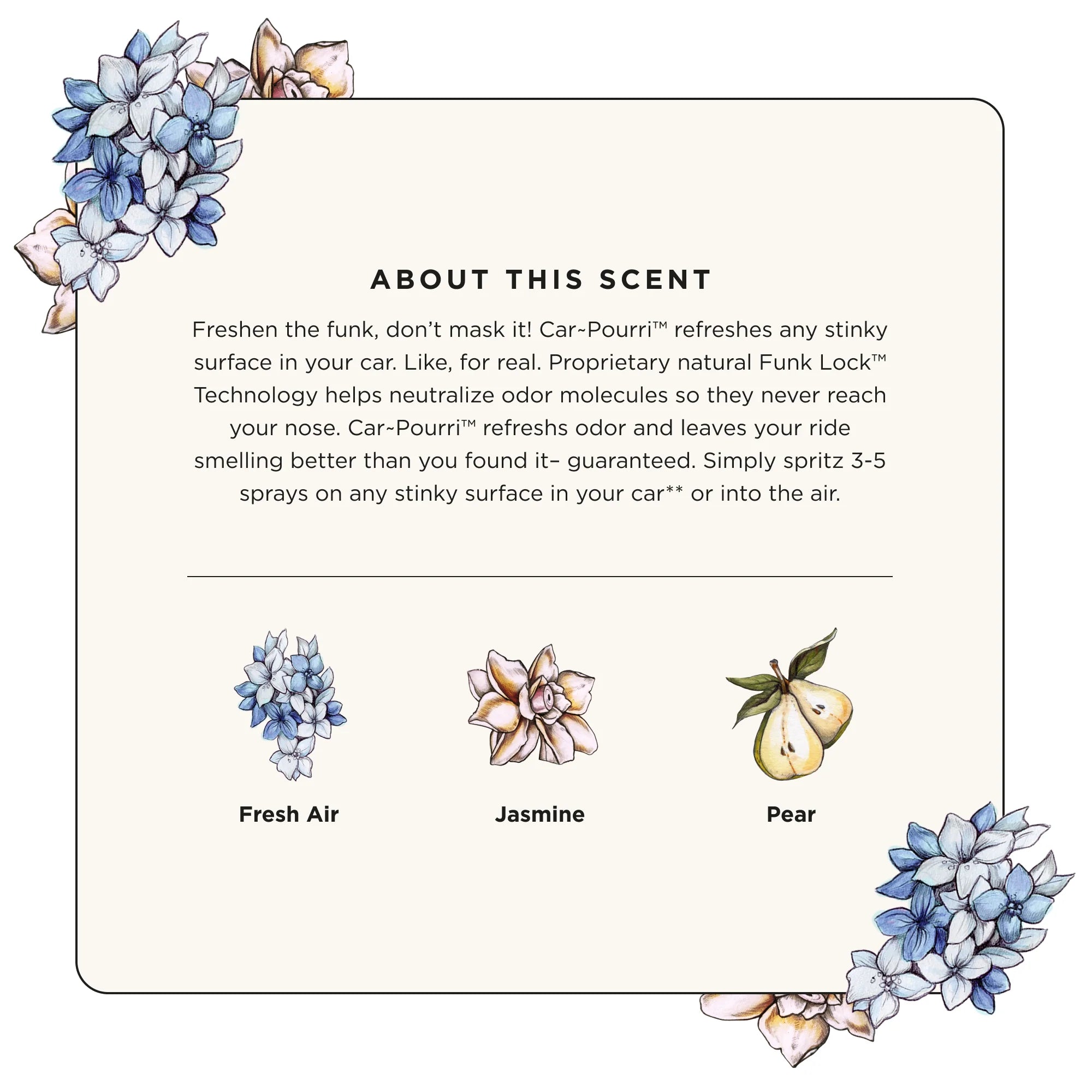 Fresh Air - Car~Pourri Car Air Freshener - View 4
