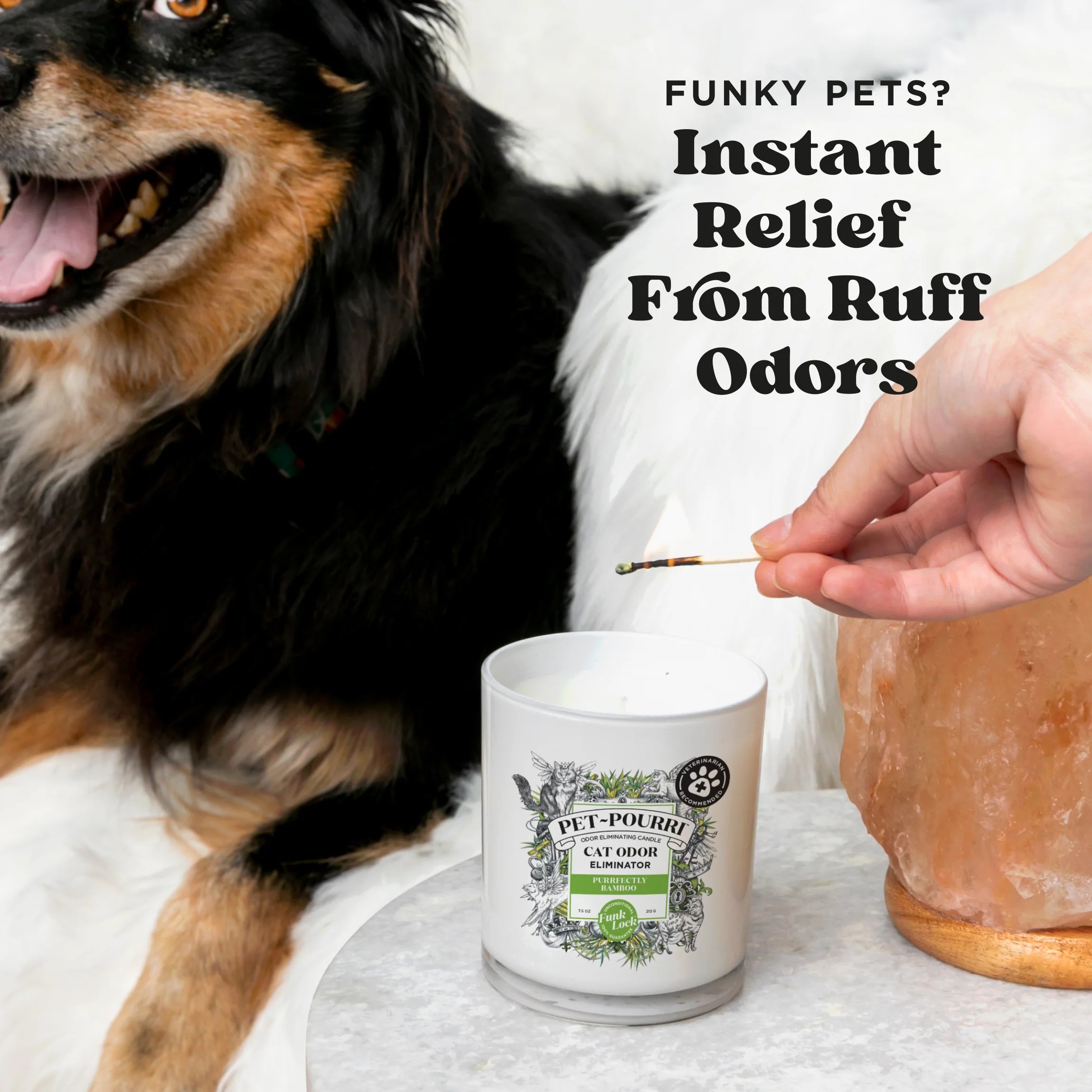 Purrfectly Bamboo Candle - Pet~Pourri Candle - View 3