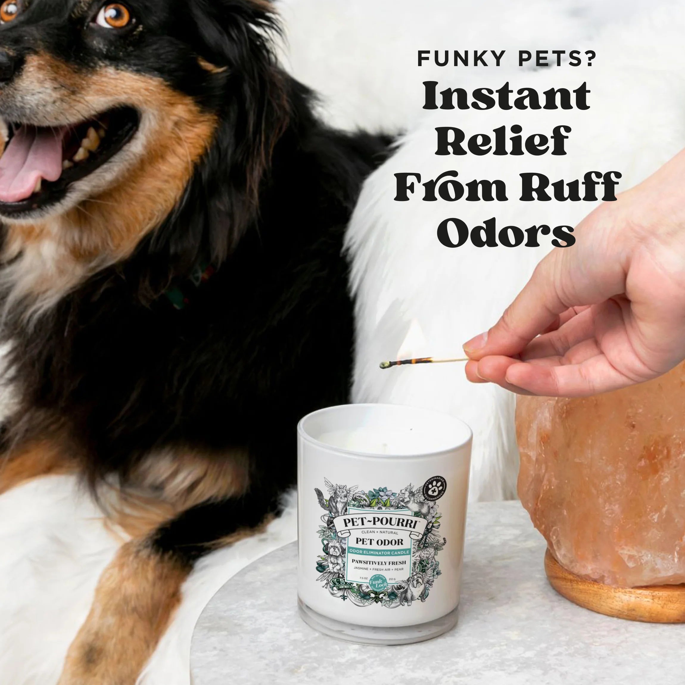 Pawsitively Fresh Candle - Pet~Pourri Candle - View 3