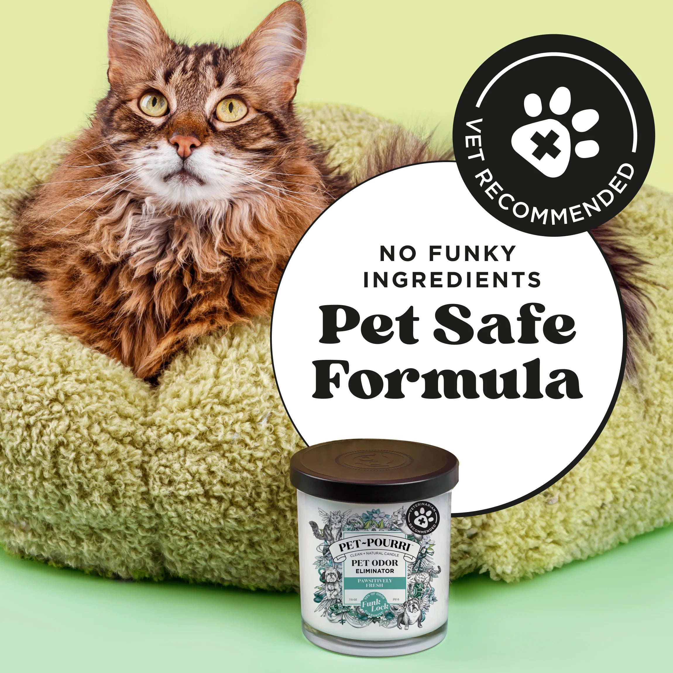 Pawsitively Fresh Candle - Pet~Pourri Candle - View 5