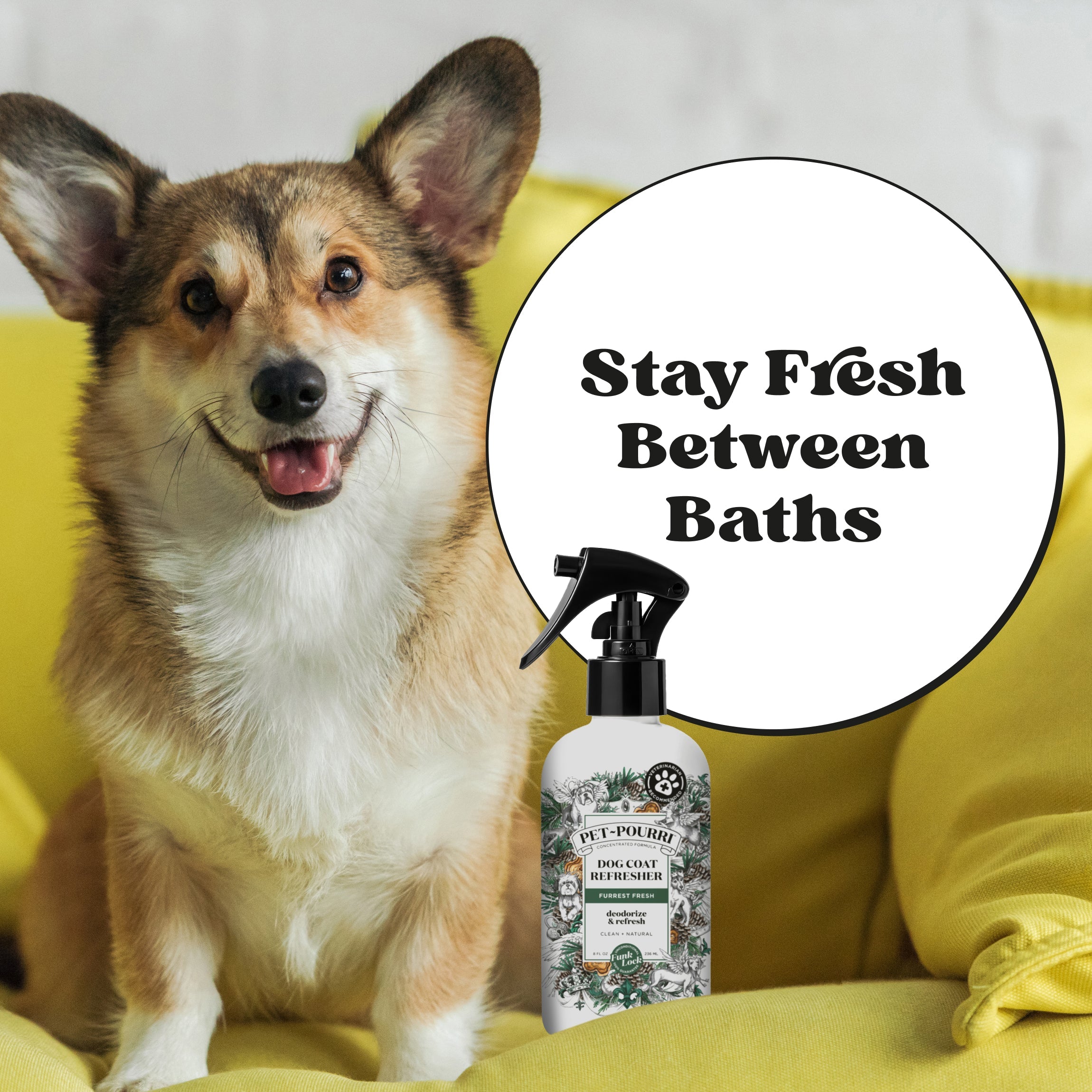 Dog Coat Refresher - Pet~Pourri - View 3