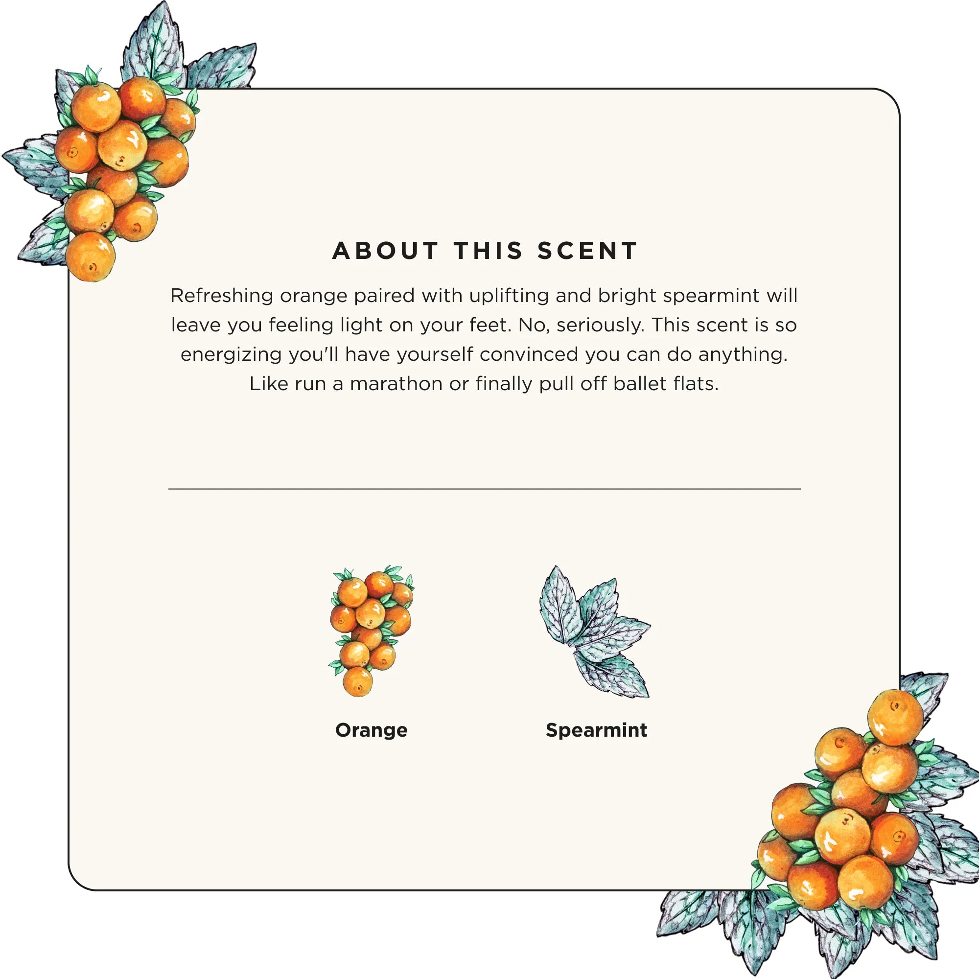 Citrus Mint - Sole~Pourri Shoe Deodorizer - View 5