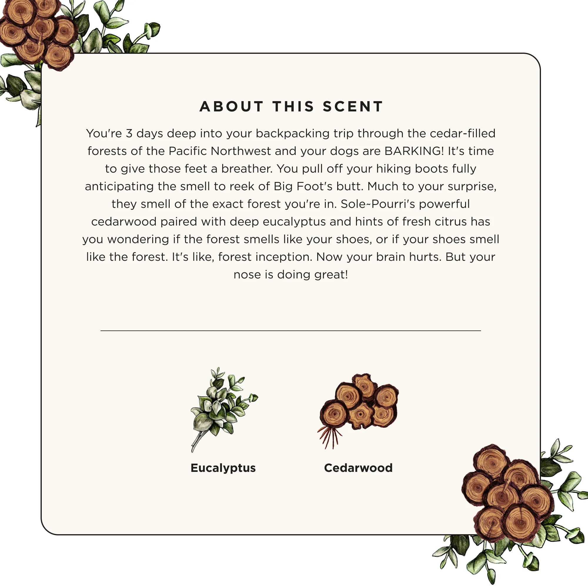 Cedarwood Eucalyptus - Sole~Pourri Shoe Deodorizer - View 6